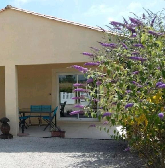 Maison 3 Etoiles Avec Piscine Et Jacuzzi Exterieur Pres De Sarlat Saint-Vincent-le-Paluel Luaran gambar